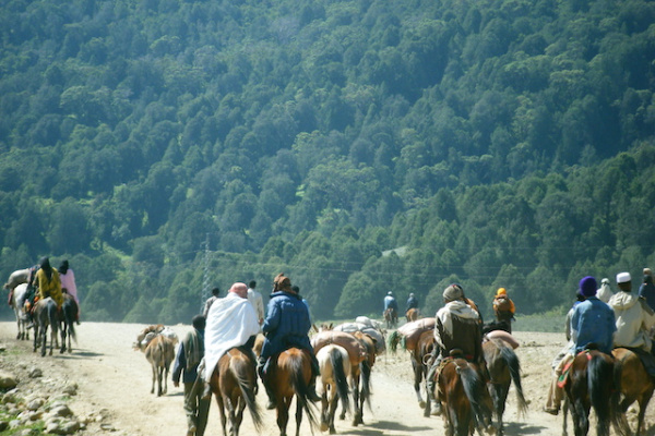 Les mongagnes du Bale-2-2