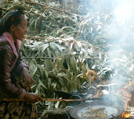 The origin of coffee is in Ethiopia-2-1