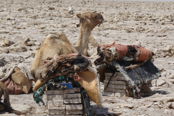 The Danakil Desert-2-2