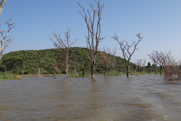 Nechisar National Park and Chamo Lake-2-2