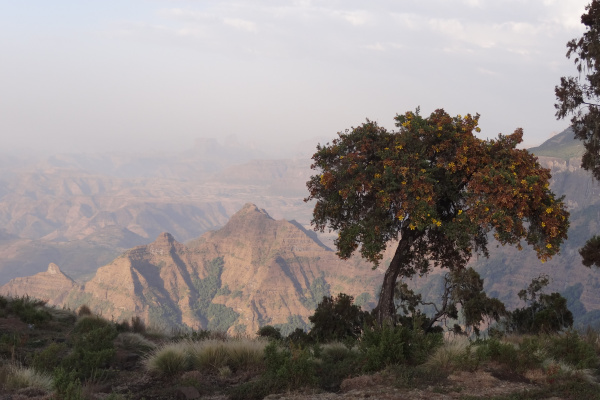 Le parc national du Simien-2-2