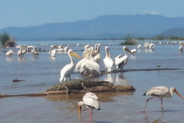 Parc de Nechisar et lacs entre détente et culture