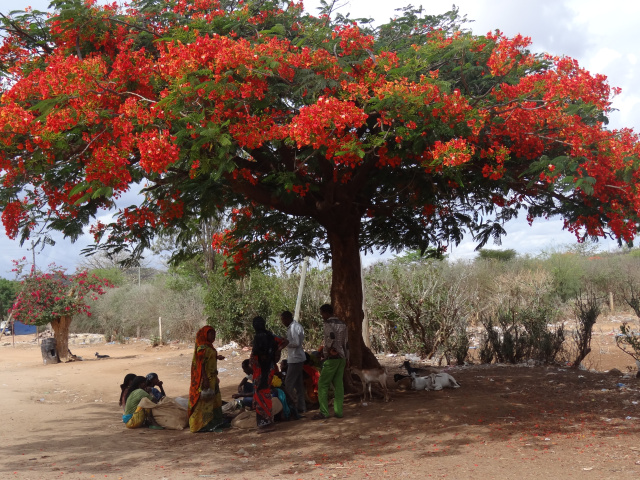 Grand tour of Ethiopia or the odyssey on Ethiopian land