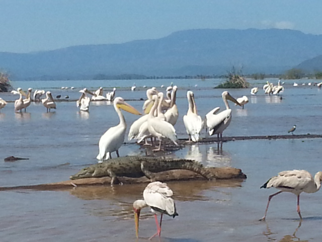 Parc de Nechisar et lacs entre détente et culture