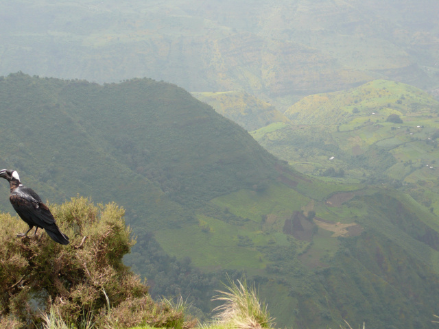 Ethiopian churches and incursion into Simien