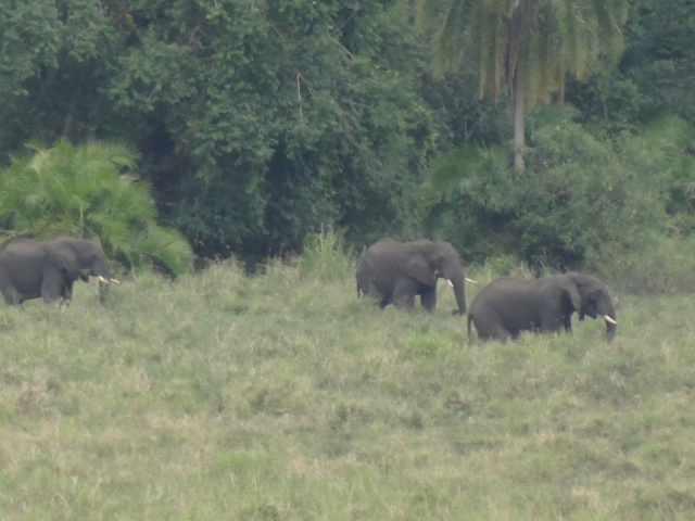 Chebera Churchura National Park