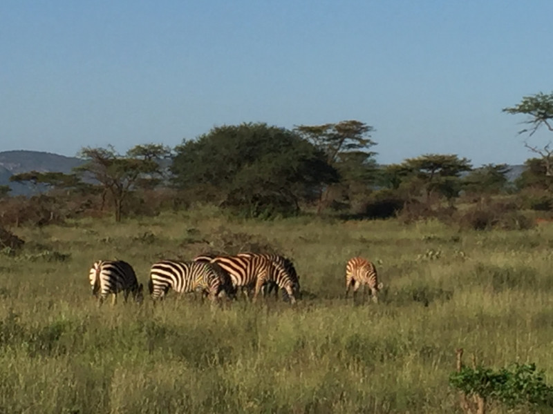 Le parc national de Borana