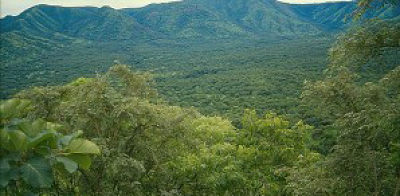 Le parc national de Gambela