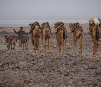 Danakil Desert Erta Ale and Dallol-2