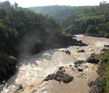 Le parc d'Awash et Harar-1