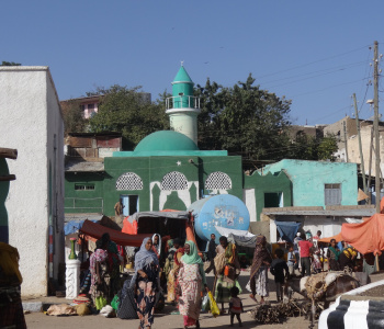 Le parc d'Awash et Harar-4