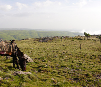 Ethiopian churches and incursion into Simien-1