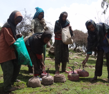 Trekking in the Simien Mountains-3