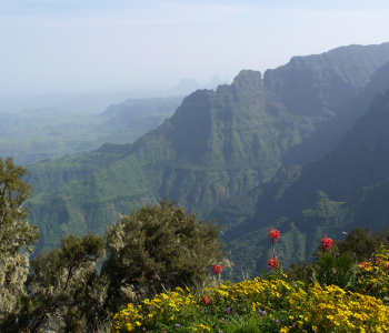 Trekking dans les montagnes du Simien-4