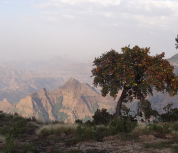 Exceptional trekking in Ethiopia between Simien and Bale-3