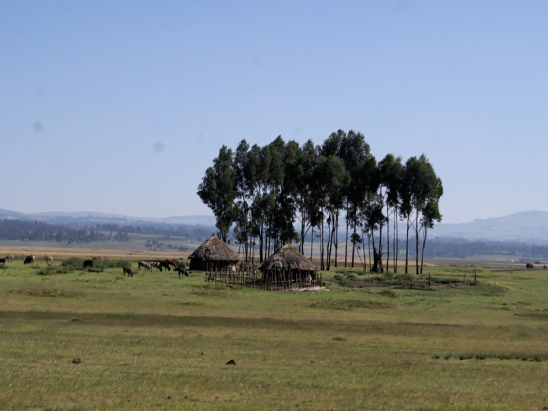 Ethiopia