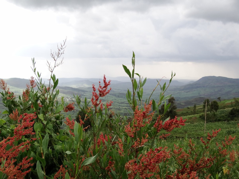 Great Rift Valley