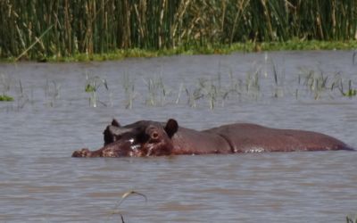 Les parcs et les lacs du Sud de l'Ethiopie