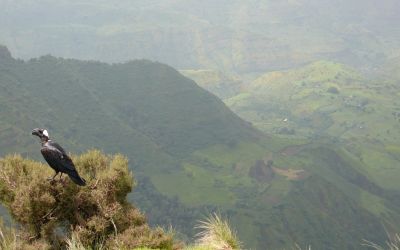 Ethiopian churches and incursion into Simien