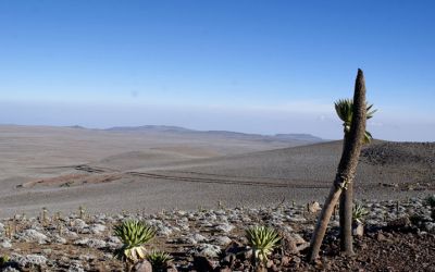 Trekking in Ethiopia in the Bale Mountains