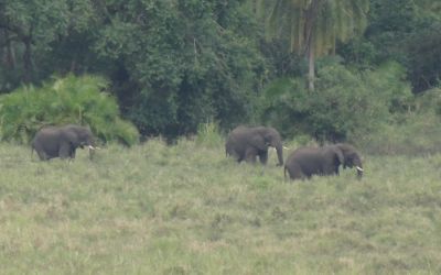 Chebera Churchura National Park