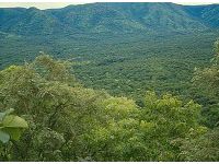 Le parc national de Gambela