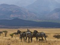 Nechisar National Park and Chamo Lake